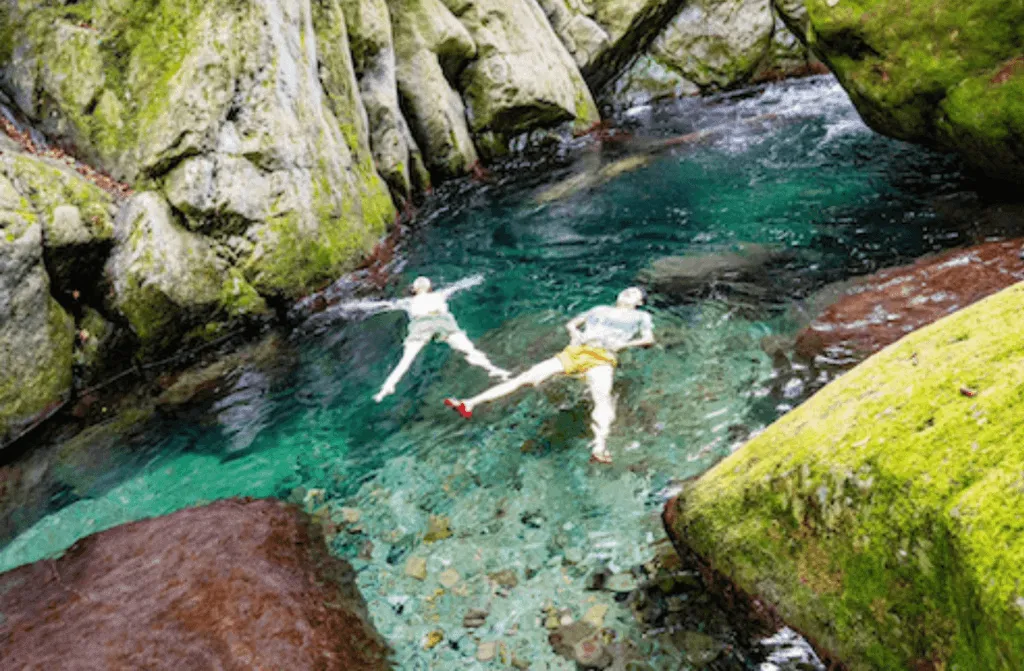 大山流域の水辺での体験