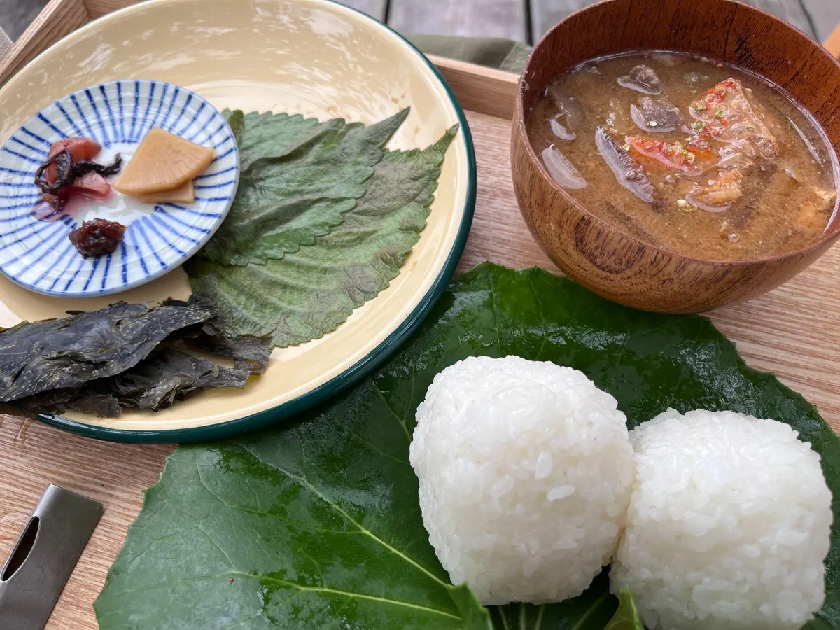 プログラムで提供される地域の食