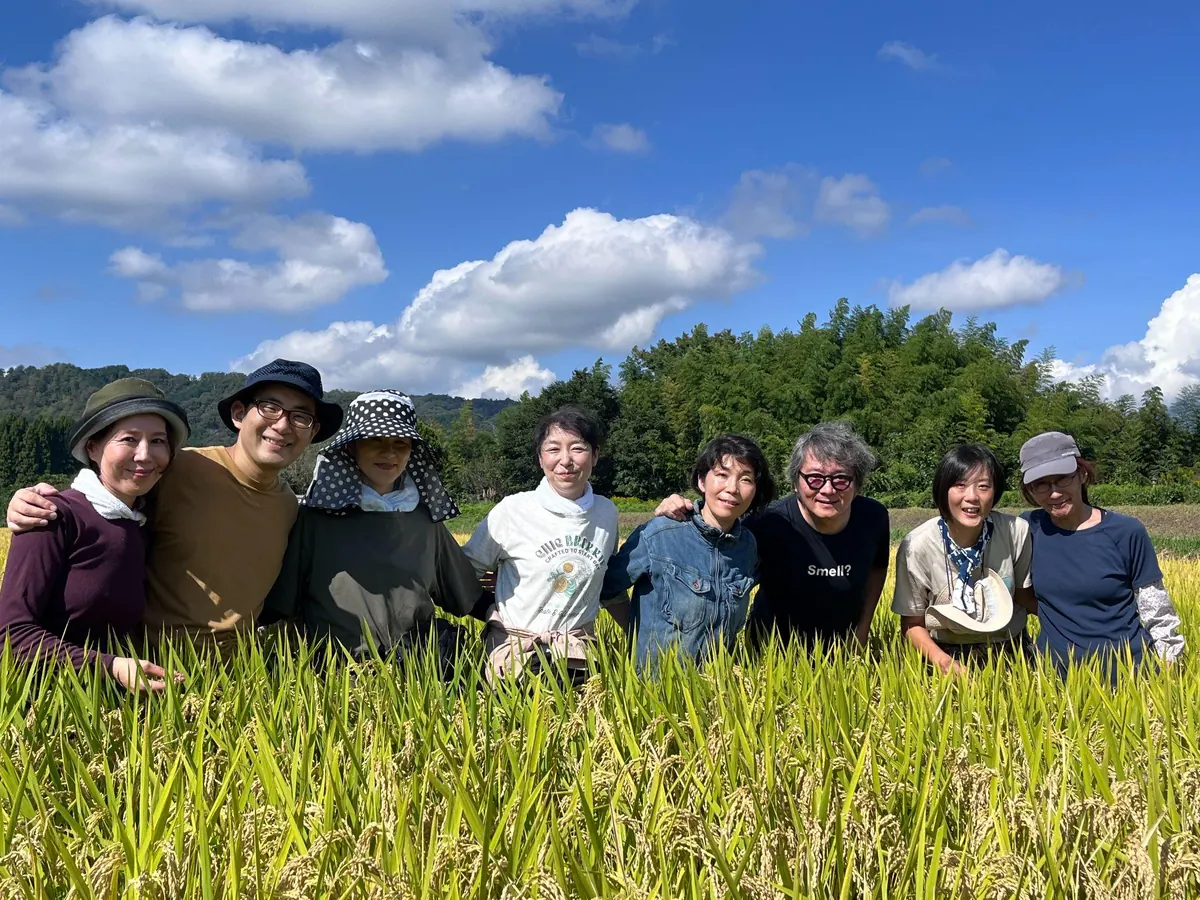 田んぼDAOでの稲刈り