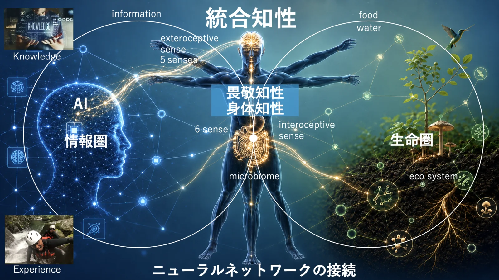 統合知性の図：AI・情報圏と生命圏を、身体知性・畏敬知性を持つ人がつなぐニューラルネットワークの接続